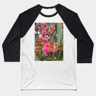 Flowering Gum Tree Baseball T-Shirt